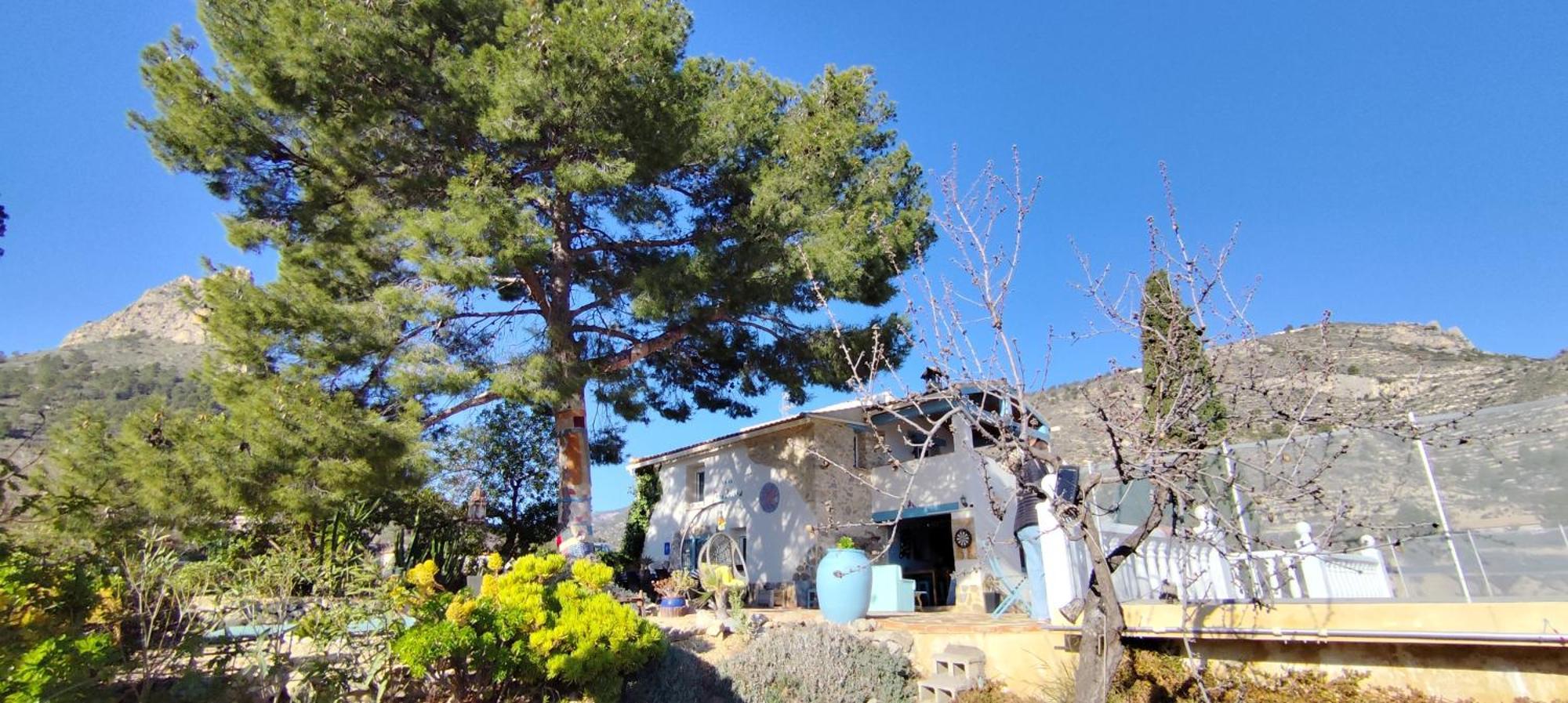 RelleuCasa Pura Vida住宿加早餐旅馆 外观 照片